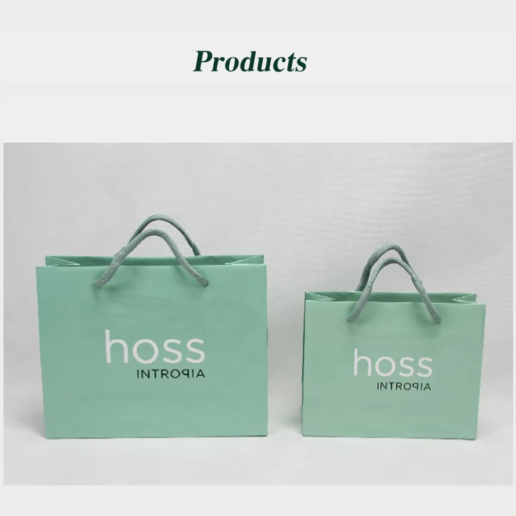 Custom Print Shopping Paper Bags with Your Own Logo