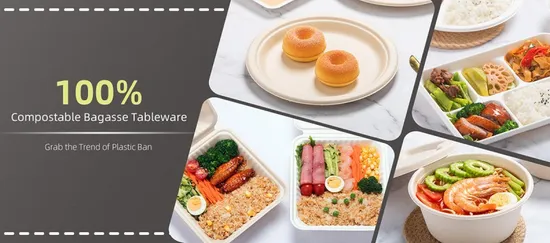 Rechteckige Lunchbox aus Kunststoff zum Mitnehmen, 1 Fach, Entsorgungsschale